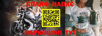МДПВ Моздок