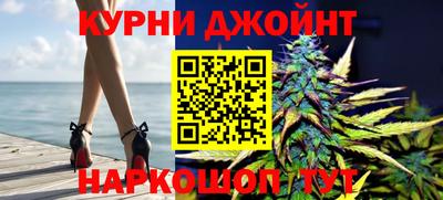 дживик Можга
