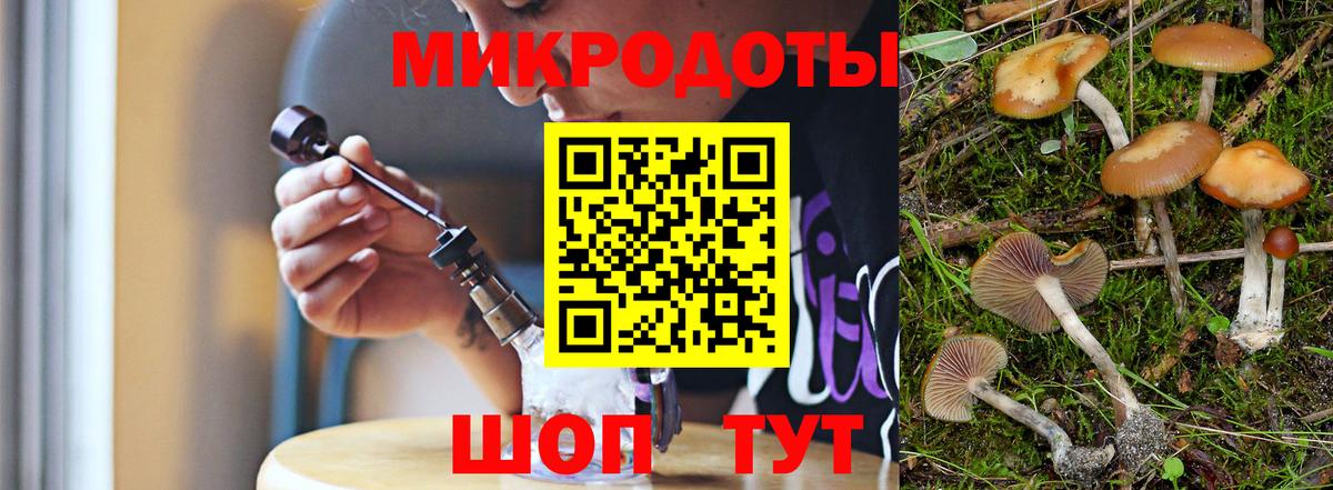 Галлюциногенные грибы Psilocybine cubensis Тимашёвск